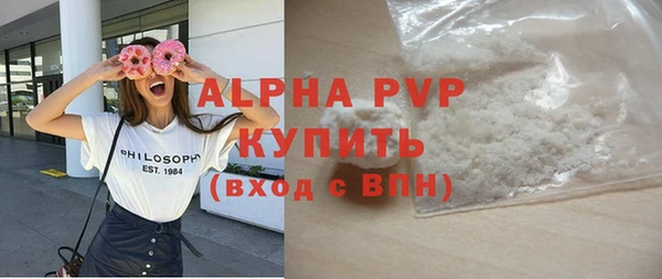 PSILOCYBIN Лагань