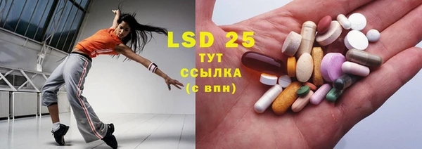 PSILOCYBIN Лагань
