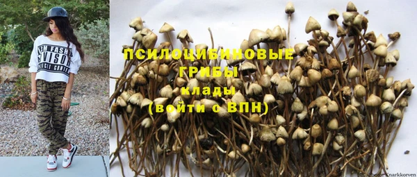 PSILOCYBIN Лагань