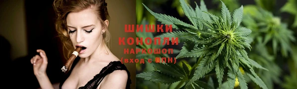 PSILOCYBIN Лагань