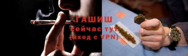PSILOCYBIN Лагань