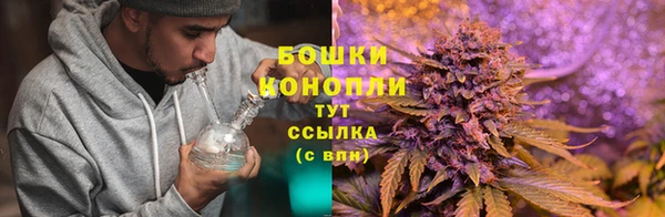 первитин Лабытнанги