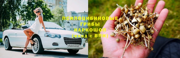 прущие крисы Ладушкин